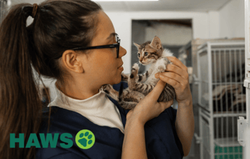 Feature Image for How Humane Animal Welfare Society Cut Admin Time by 87.5% with Get Connected