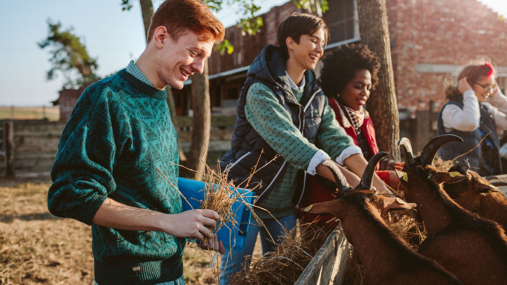 Student volunteers volunteering on a farm